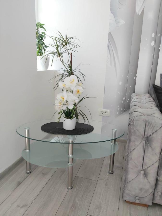 Apartment Marina 2 Котор Екстериор снимка